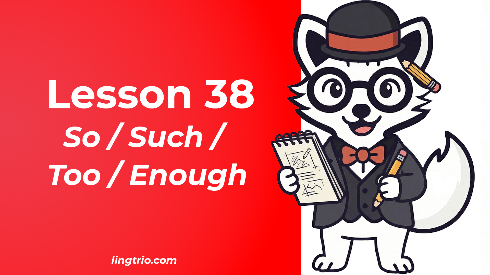 Lesson 38: So / Such / Too / Enough