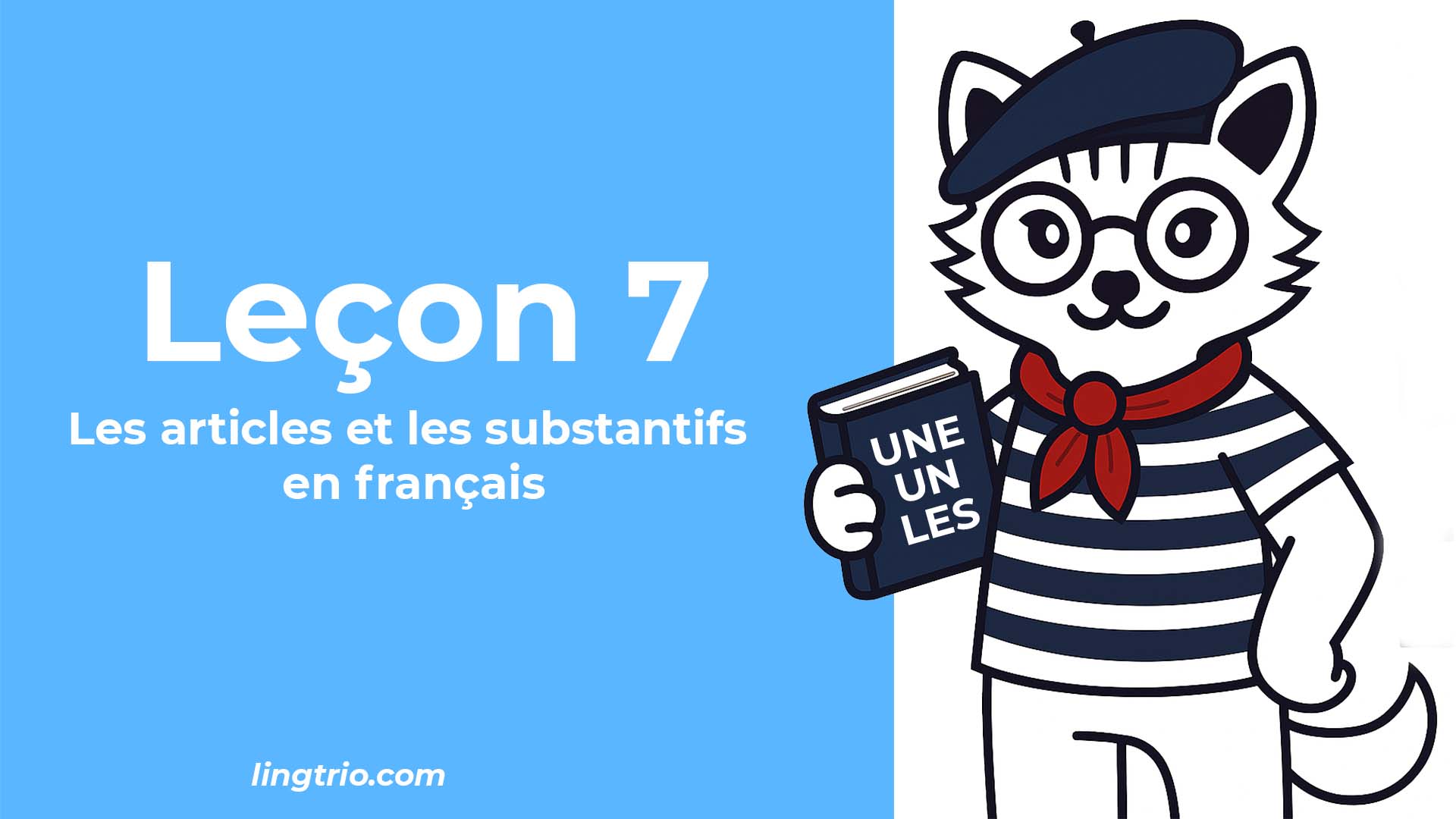 Leçon 7: Les articles et les substantifs en français