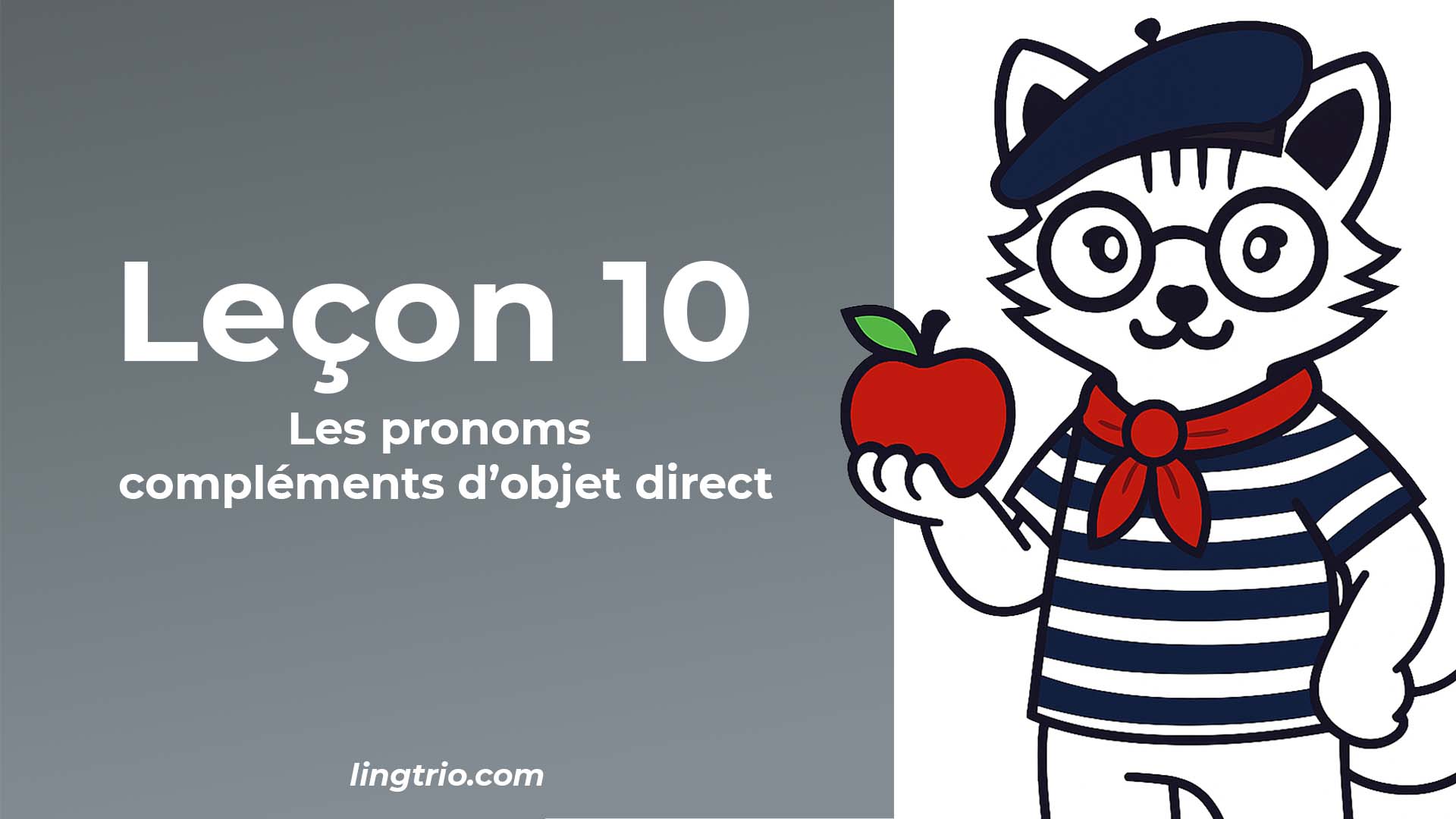 Leçon 10: les pronoms compléments d’objet direct