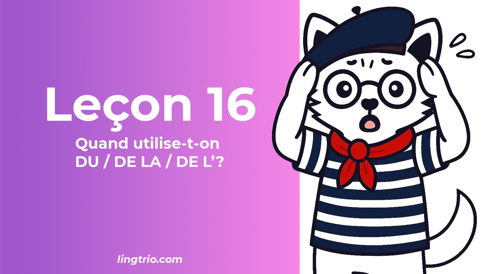 Leçon 16 : Quand utilise-t-on DU / DE LA / DE L’?