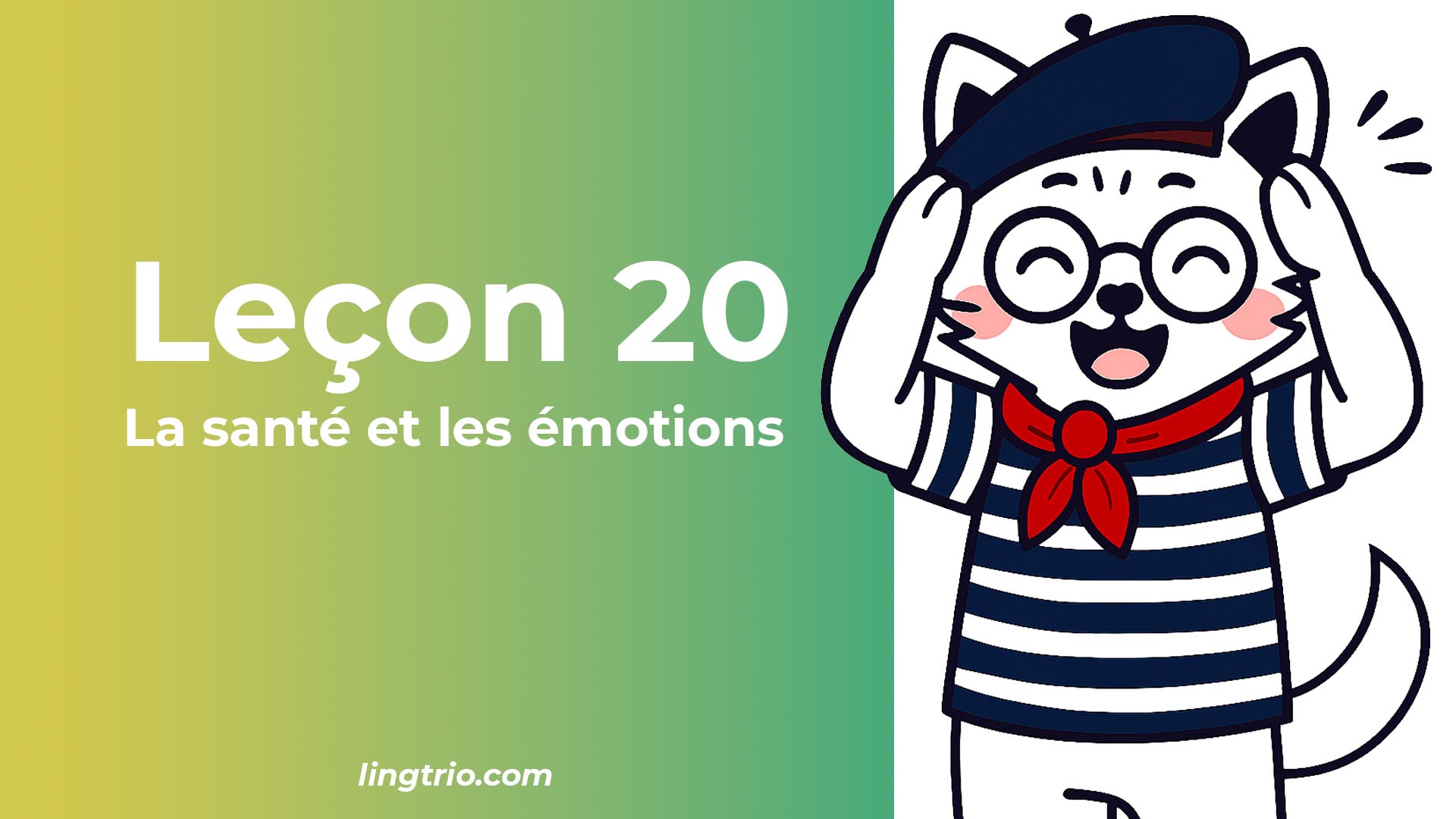 Leçon 20: La santé et les émotions