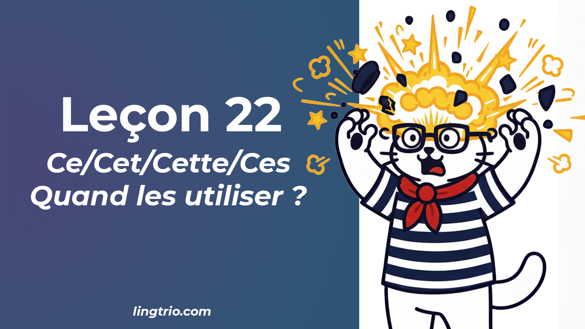 Leçon 22:  Ce/Cet/Cette/Ces - Quand les utiliser?