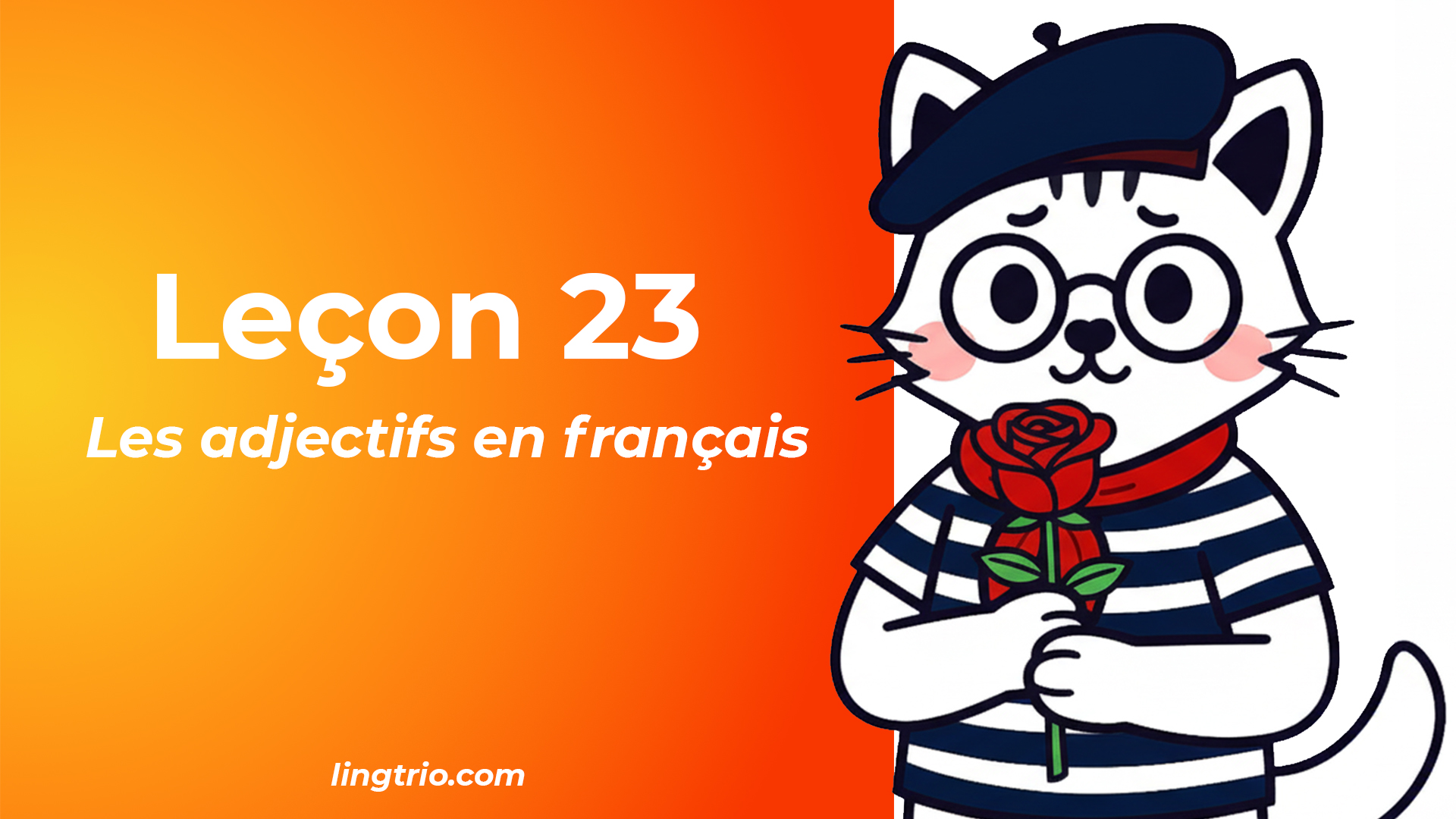 Leçon 23: Les adjectifs