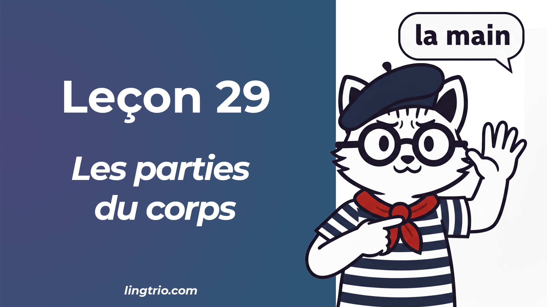 Leçon 29: Les parties du corps