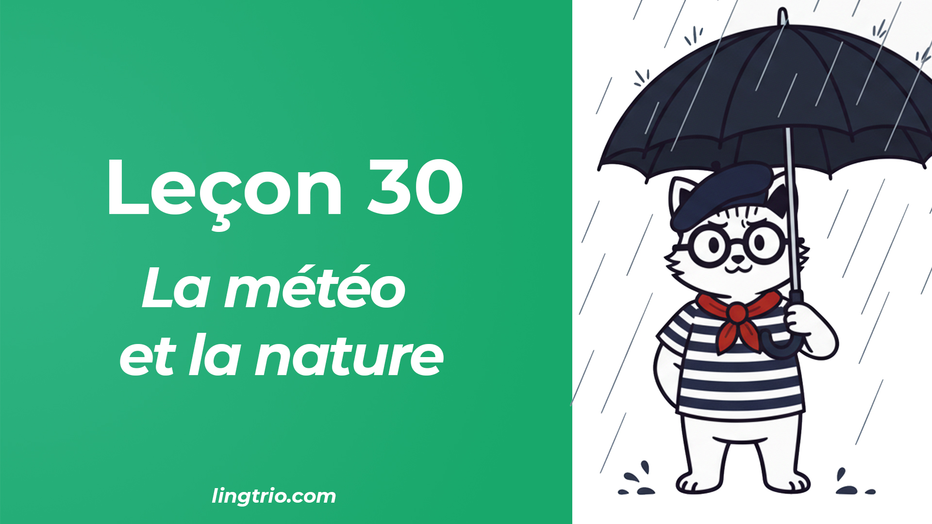Leçon 30: La météo et la nature