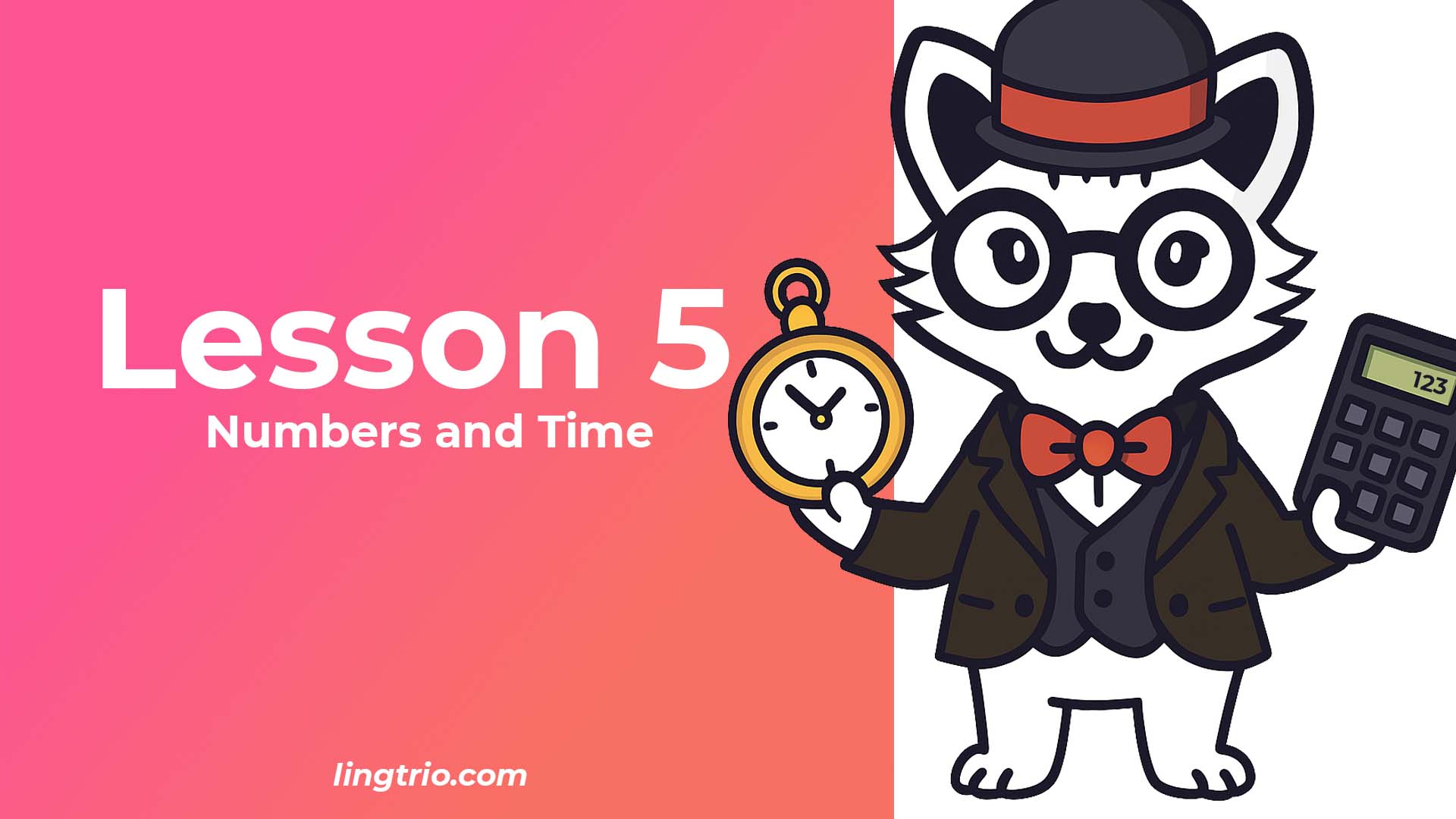 Lesson 5