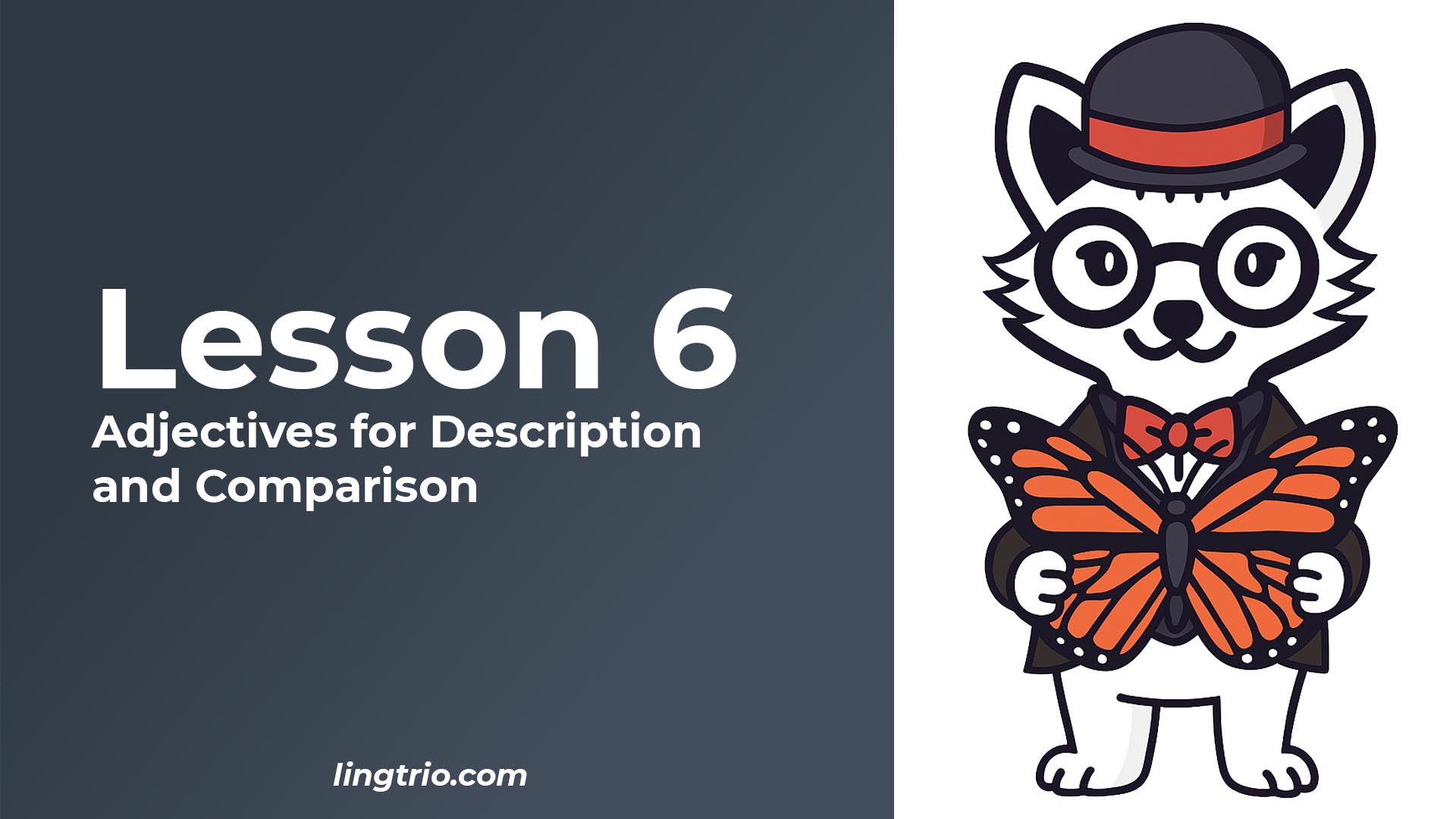 Lesson 6