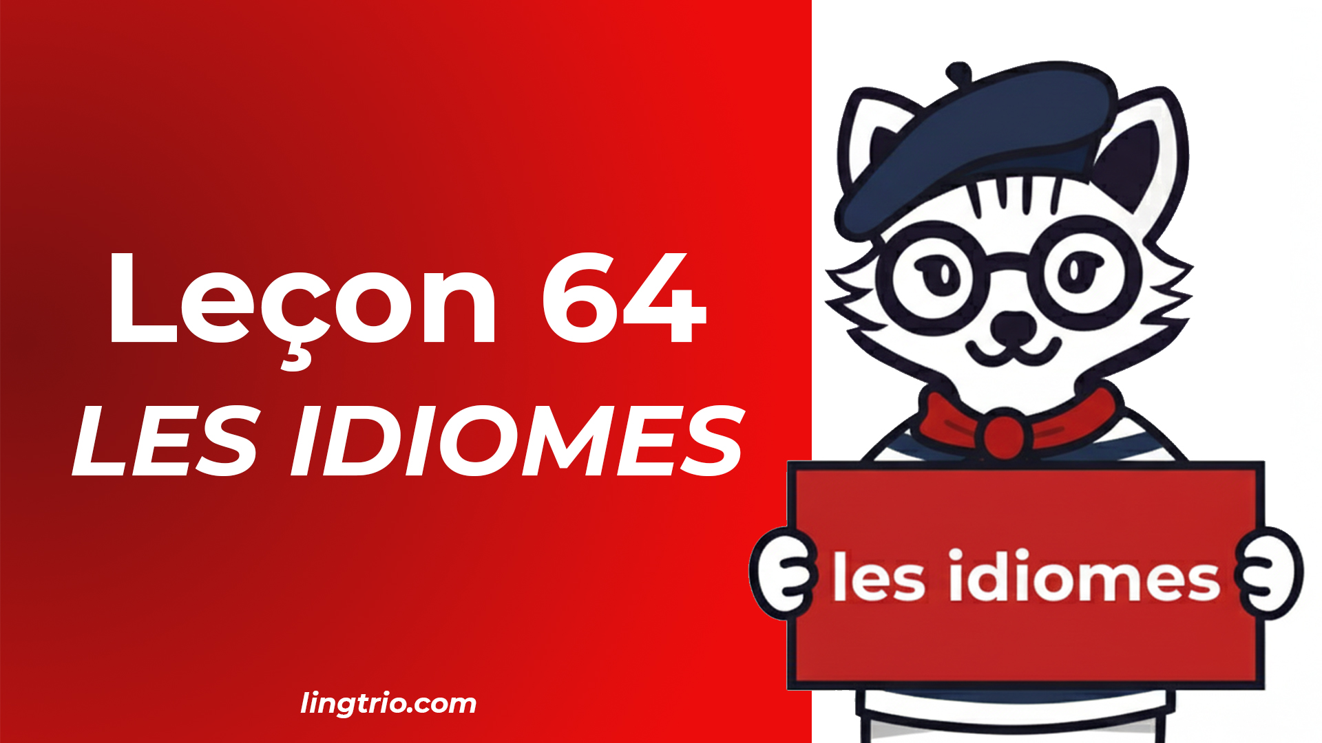 Leçon 64: Les expressions idiomatiques françaises courantes