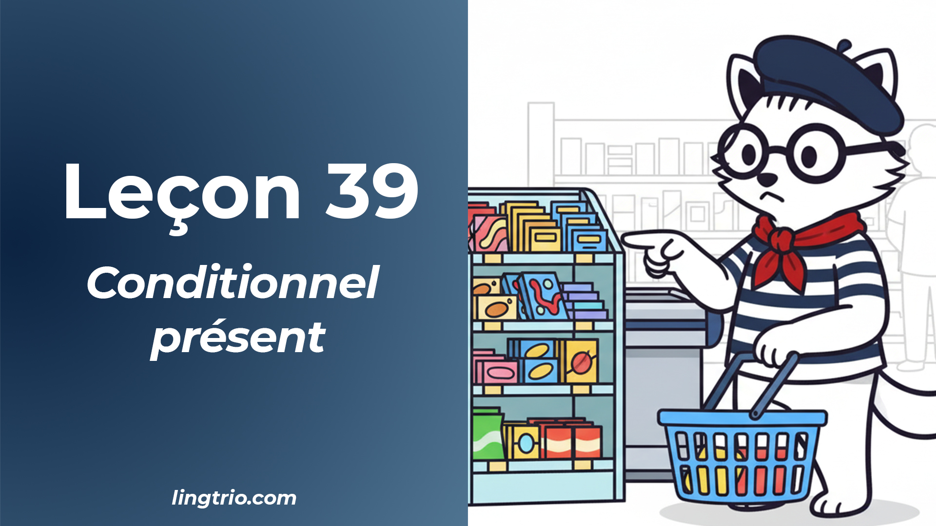 Leçon 39: Conditionnel présent