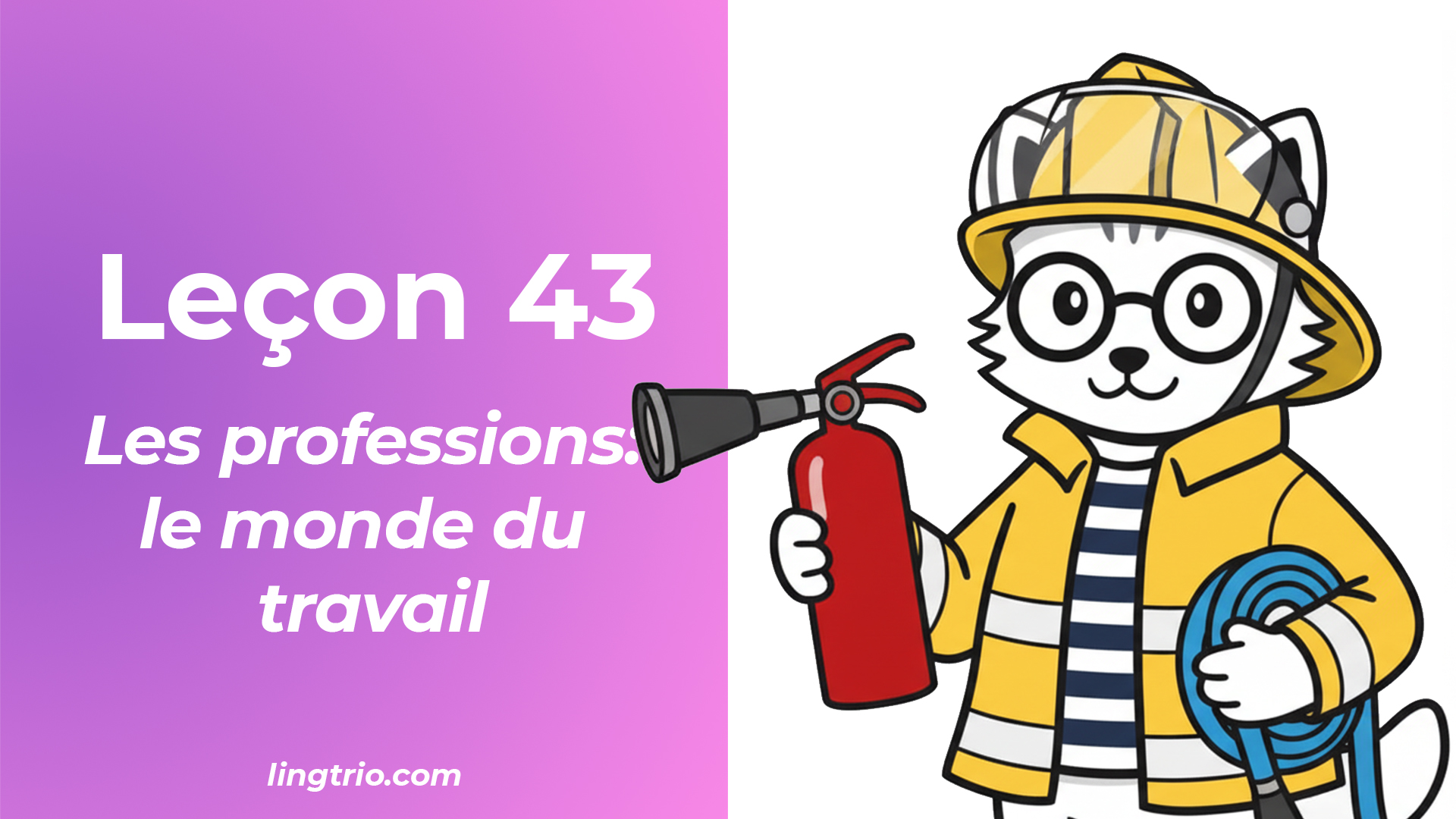 Leçon 43: Les professions: le monde du travail