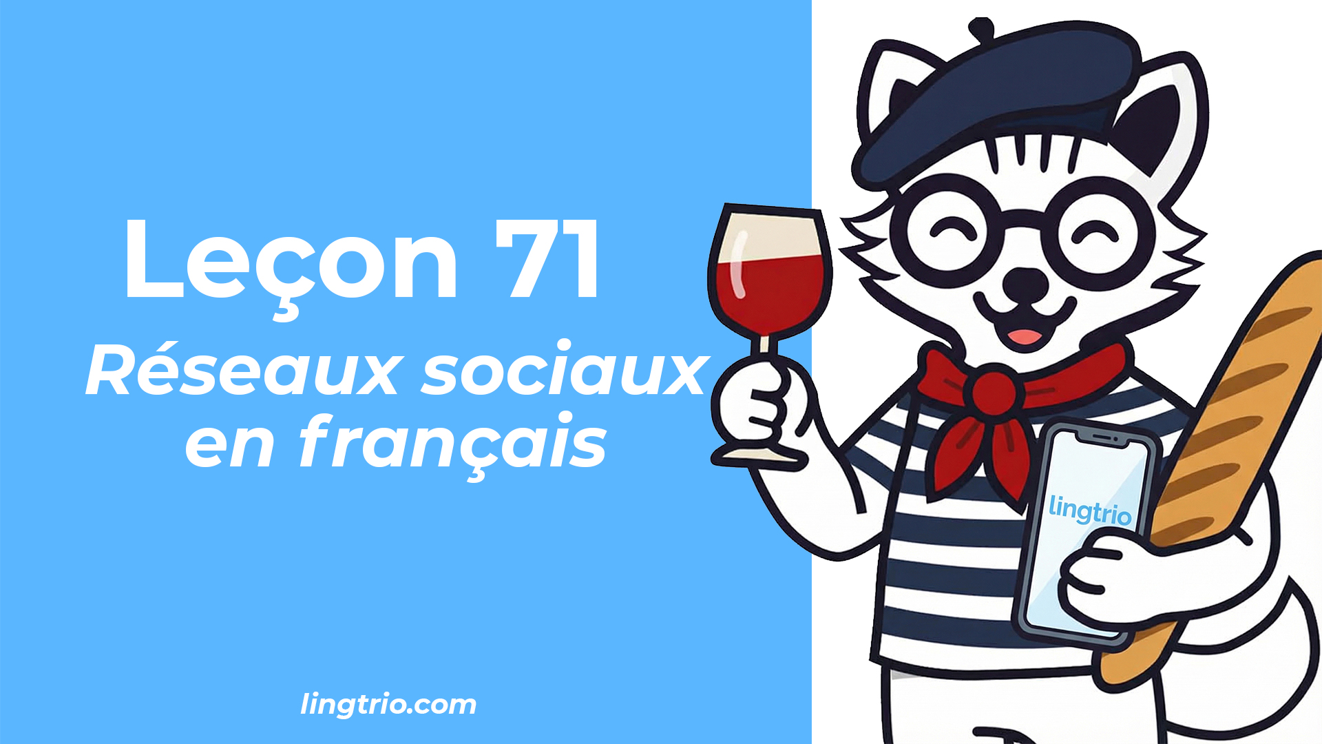 Leçon 71: Réseaux sociaux en français