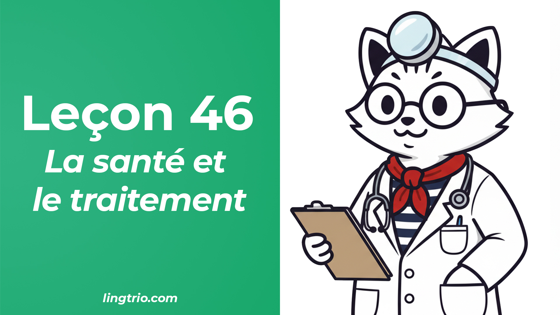 Leçon 46: La santé et le traitement