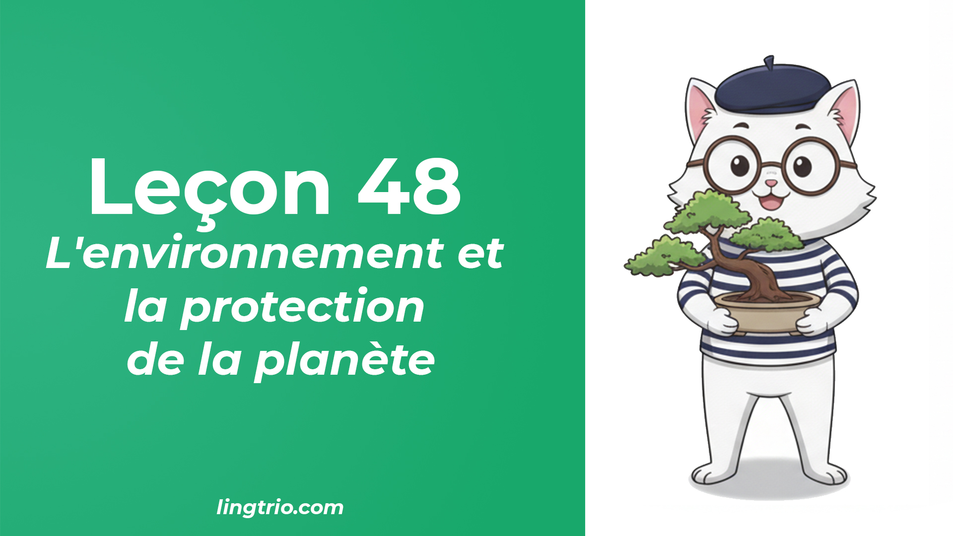Leçon 48: L'environnement et la protection de la planète