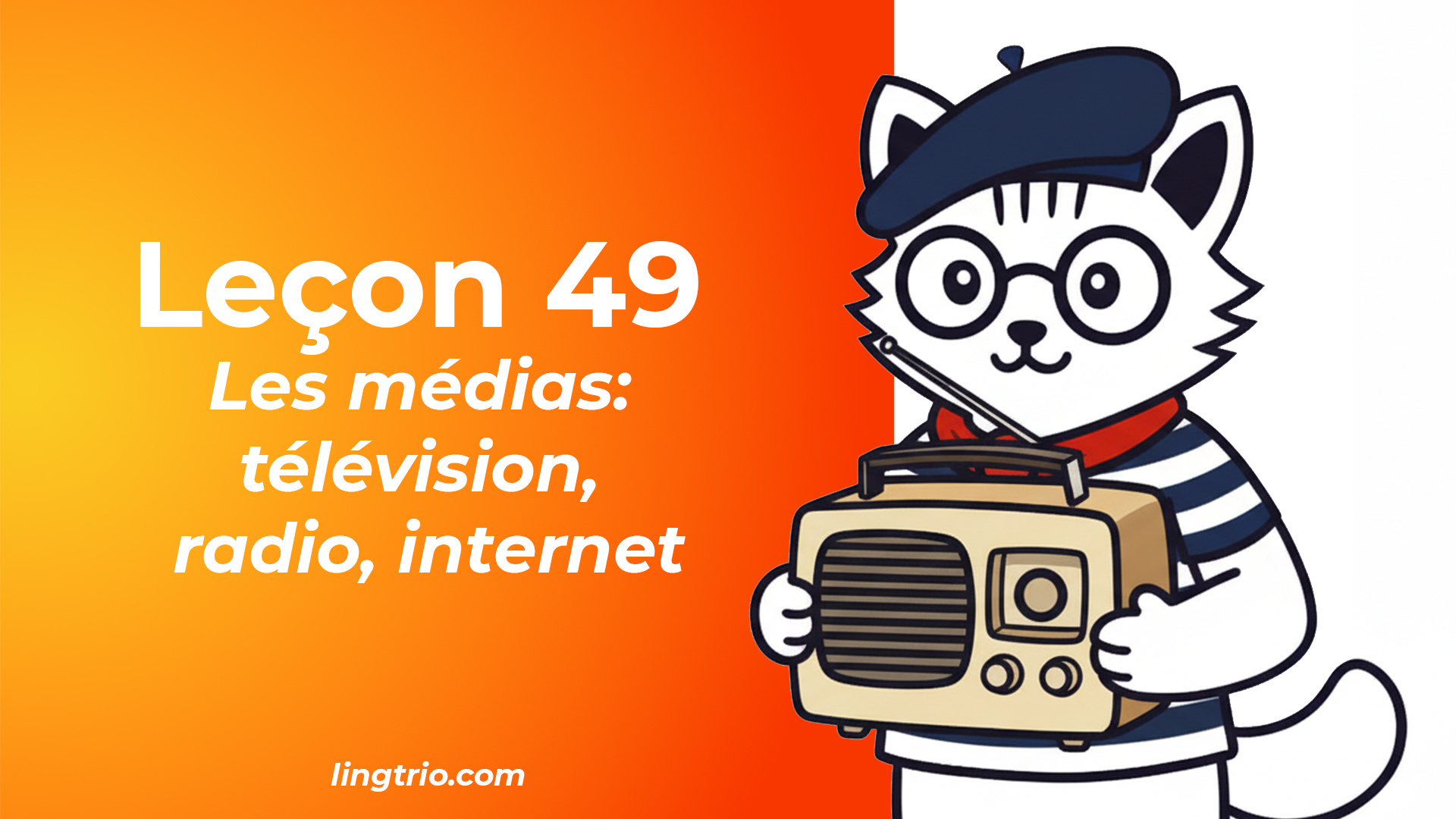 Leçon 49: Les médias TV, Internet
