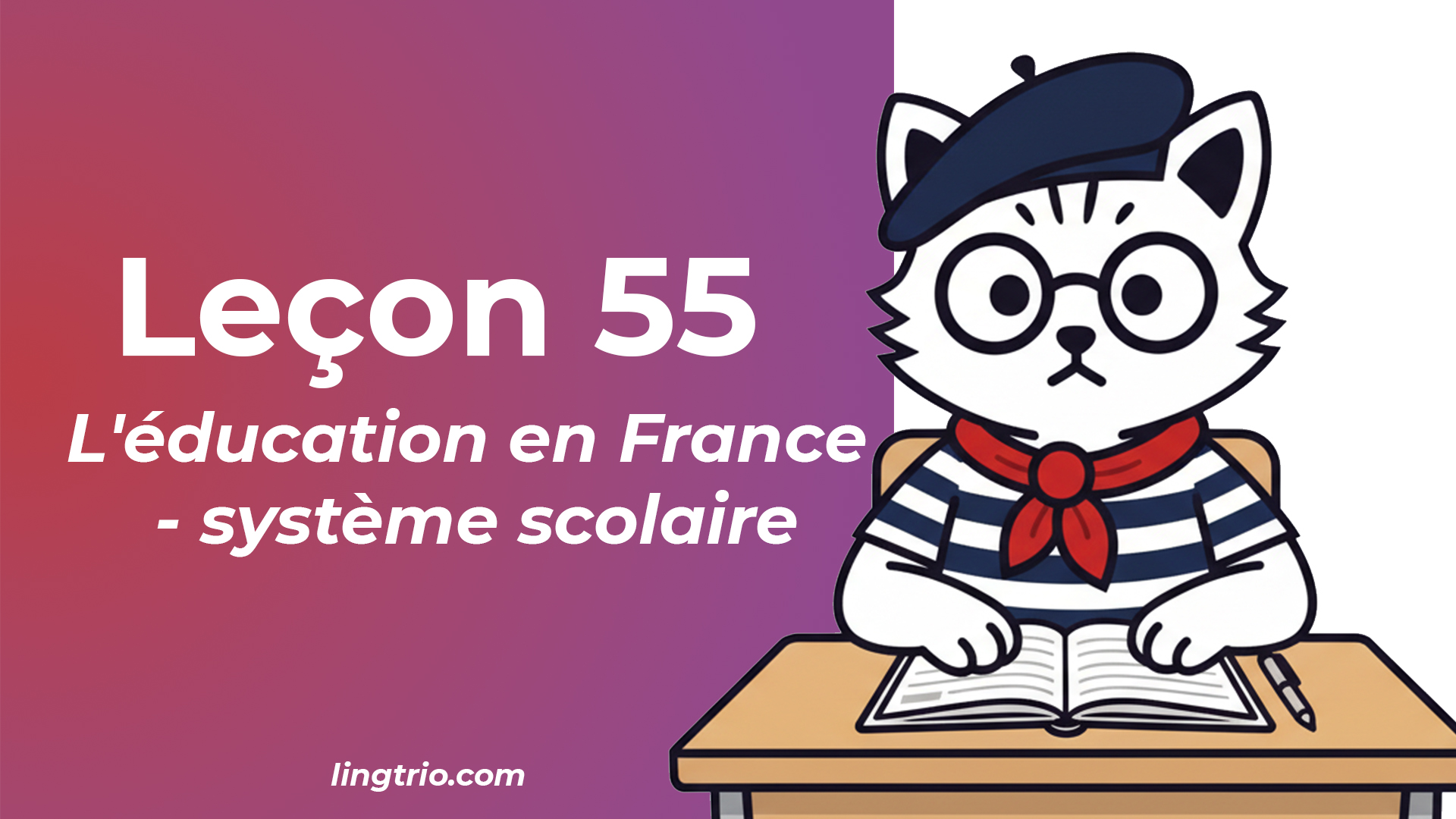 Leçon 55: L'éducation en France - système scolaire