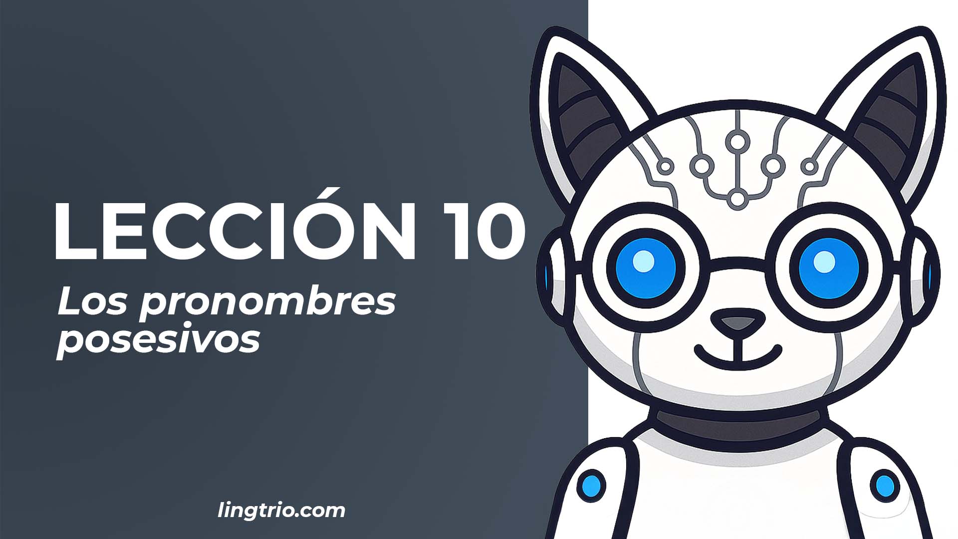 LECCIÓN 10. Los posesivos, ESTAR y TENER en presente