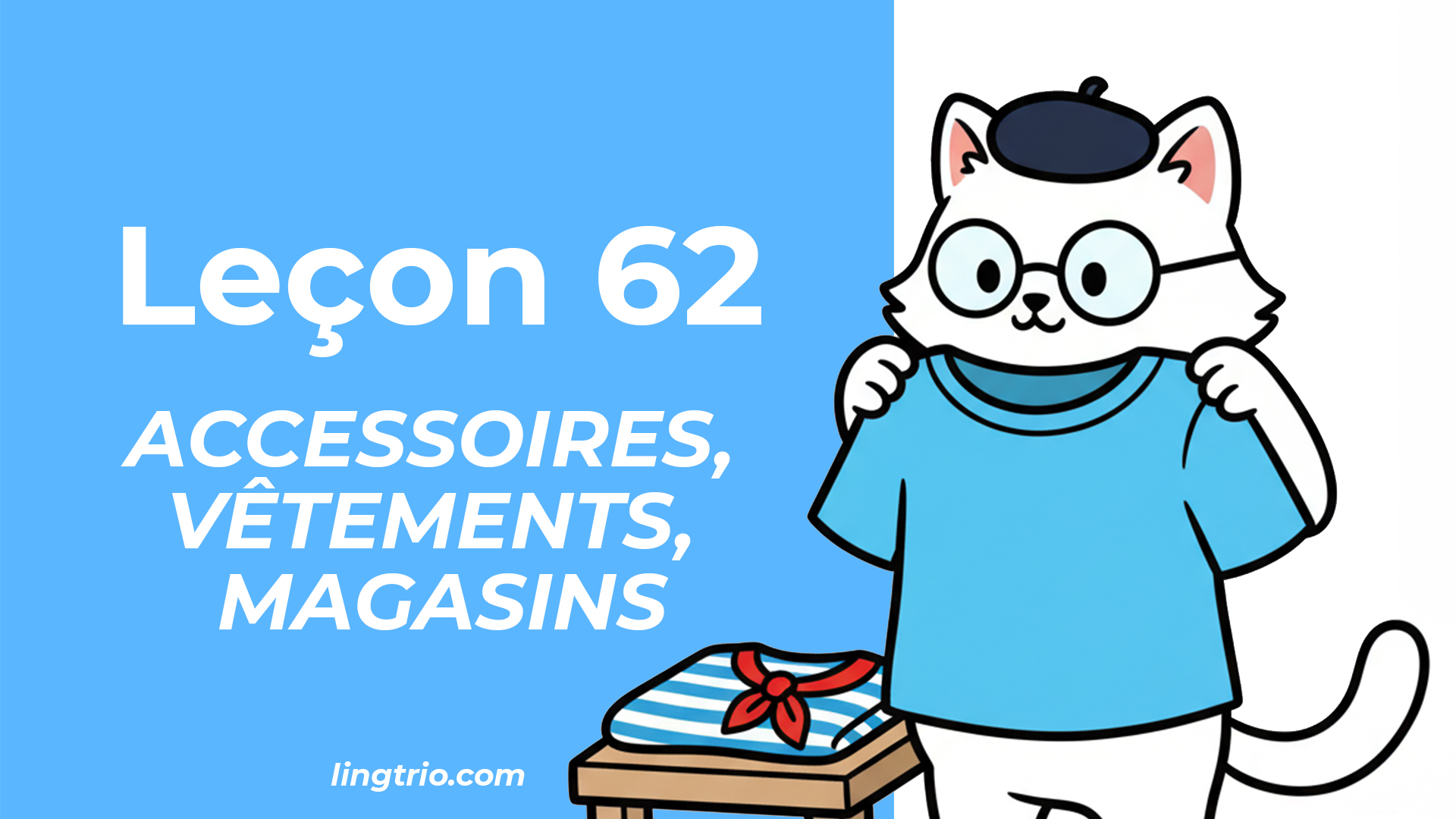 Leçon 62: Accessoires, vêtements, magasins
