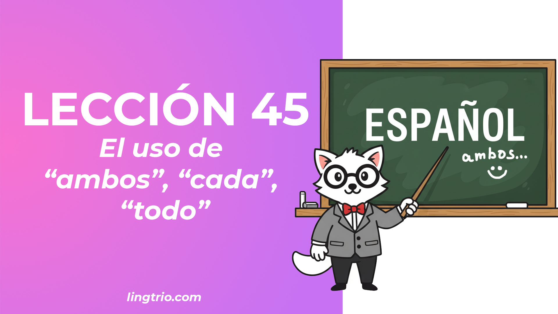 LECCIÓN 45: El uso de “ambos”, “cada”, “todo”